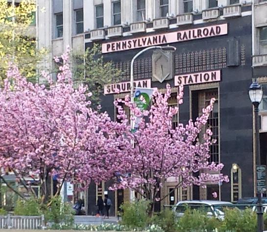 PRR Cheery Blossom Time by Valli Hoski After attending a library conference in Philadelphia in late April, Harry and I explored a few historical districts.