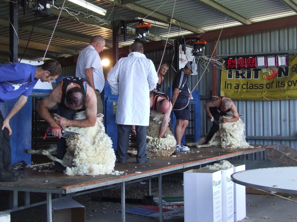 Blade Shearing Event.