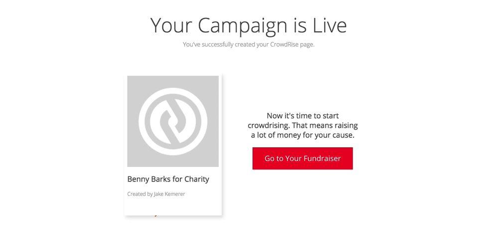 Your campaign is live now what?