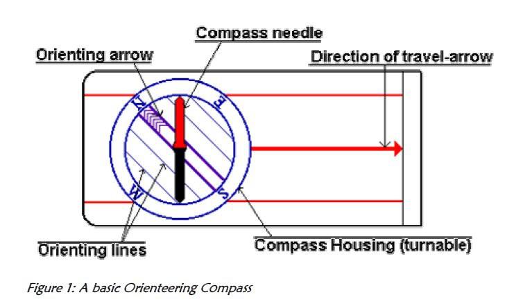 NT - NU Compass Activities Basic Skills NT-NU Program Page 1 of 2 Last Modified: 31-May-04 Compass Basics Finding North 1. The RED end of the compass needle always points north. 2. Turn the compass housing until the "N" lines up with the direction of travel arrow.