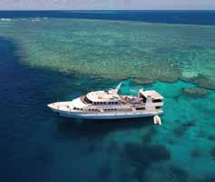 Exploring Tropical North Queensland EXTENDED CRUISES 2 Day Sunlover By Starlight As Sunlover s Moore Reef day guests return to Cairns, Sunlover by Starlight offers a small group of guests the