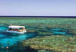 Exploring Tropical North Queensland 3, 4 & 7 Night Coral Expeditions Cruises EXTENDED CRUISES Let Coral Expeditions introduce you to the Great Barrier Reef on an extended voyage to the pristine outer