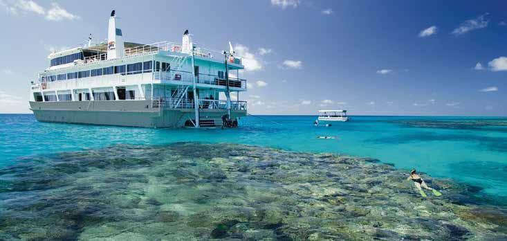 With 33 years of experience, Coral Expeditions will ensure you don t just see the Great Barrier Reef, but truly experience it.