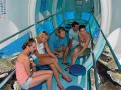 Stay dry and view the reef from the semi-submersible, glass bottom boat or underwater observatory.