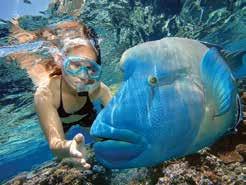 Sightseeing Outer Great Barrier Reef Cruise Reef Magic Cruises B U Y BUY NOW - BOOK LATER N O W L AT E R - B O O K REEF CRUISES Join Reef Magic Cruises on a journey to Marine World, a stunning World