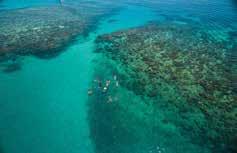 3 hours at Outer Barrier Reef platform Use of snorkelling equipment and instruction Eco reef talk Semi-submersible coral viewing Underwater observatory Hot and cold buffet lunch Operator: Great