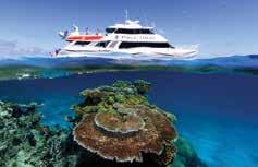 Sightseeing Outer Reef Cruise & Snorkel Travel on board one of the quickest and most modern reef vessels in Cairns and visit two different outer reef sites.