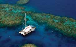 50 per person fuel levy payable direct. Family prices also available. Outer Great Barrier Reef Cruise Dive, snorkel and sail the Great Barrier Reef.
