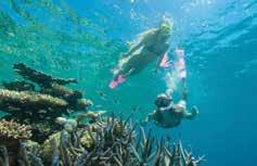 Other Tour Options: Add on One Dive Option $70 per adult. Note: Return transfer prices from Cairns Northern Beaches also available.