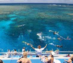 Sightseeing REEF CRUISES Calypso Snorkel & Dive There is something for everyone on this Calypso Reef Cruise.
