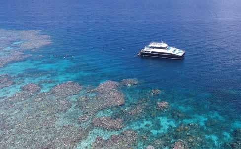 4 hours 30 minutes at the Great Barrier Reef 3 reef sites All snorkelling equipment including prescription masks, flotation devices, wetsuits and lycra suits Guided snorkel tours Interpretive reef
