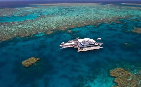 a jewellike ribbon reef with spectacular coral formations, myriad of colourful marine life and clear outer reef waters.