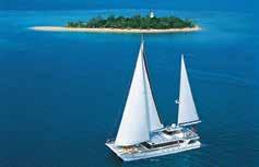 Sightseeing Wavedancer Low Isles Cruise Set sail to the idyllic Low Isles aboard Quicksilver s beautiful sailing catamaran, Wavedancer for a perfect day of island relaxation on the Great Barrier Reef.