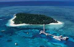 Sightseeing REEF & ISLAND CRUISES Green Island Eco Adventure Just 45 minutes from Cairns by fast catamaran, Green Island is a beautiful coral cay and offers a unique reef and rainforest experience.
