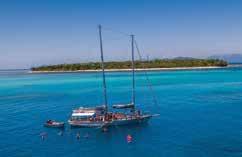 2 or 3 hours on Green Island (Half Day) 7 hours on Green Island (Full Day) Choice of snorkelling equipment or glass bottom boat coral viewing Exclusive use of island swimming pool Self-guided eco