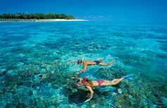 prices from Cairns & Northern Beaches also available. Family prices also available. Green Island Cruise Green Island is a tropical paradise situated on the Great Barrier Reef.