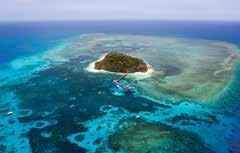 Sightseeing Fitzroy Island Experience Travel by high speed catamaran to beautiful Fitzroy Island, an island on the Great Barrier Reef that is fringed by coral reef and also home to a turtle hospital.