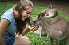 BUY NOW - BOOK LATER Sightseeing WILDLIFE & CULTURAL TOURS Friends in the Rainforest Situated in the Heritage Markets at the heart of Kuranda Village, Kuranda Koala Gardens offers the opportunity to