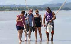 Wooroonooran National Park Crocodile spotting cruise Buffet lunch Experienced guide Return transfers from Cairns and Cairns Beaches accommodation Operator: Wooroonooran Safaris Departs: Daily from