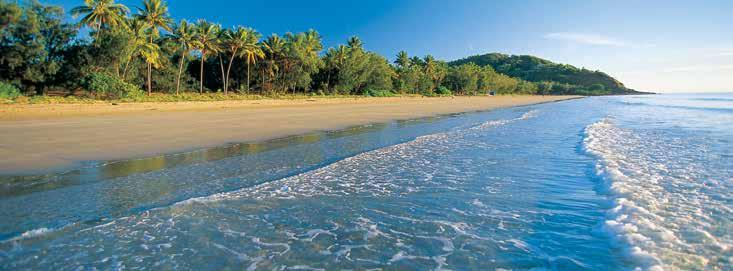 Port Douglas PORT DOUGLAS Four Mile Beach Our Favourites Cruise to Low Isles or the Outer Reef Visit the Port Douglas Markets on a Sunday Stroll along famous Four Mile Beach Enjoy dinner at one of