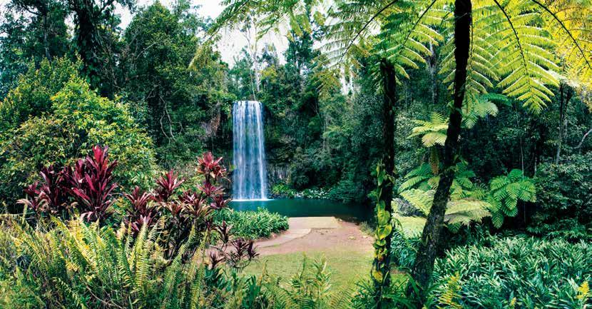 Travel Tips Millaa Millaa Falls, Atherton Tableland How to Get There BY AIR Qantas operates daily direct services from Sydney, Melbourne, Brisbane, Darwin and Alice Springs to Cairns.