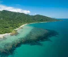 It s the perfect blend of reef and rainforest, relaxation and adventure. The area buzzes with wildlife in the Earth s oldest surviving rainforests as you take the river ferry to the town of Daintree.