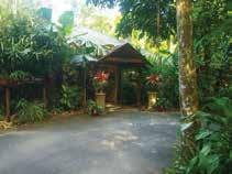 Atherton Tableland, Cape Tribulation & Daintree Rose Gums Wilderness Retreat, Atherton Tableland HHHH Studio Treehouse From price based on Stay 3, Pay 2 in a Studio Treehouse, valid 1 Apr 30 Jun, 1