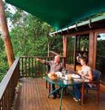 Property Features: Free Wi-Fi (public areas), Spa, Restaurant, Tennis court, Rainforest walking tracks, Wildlife viewing, DVD/book library, Parking (free).