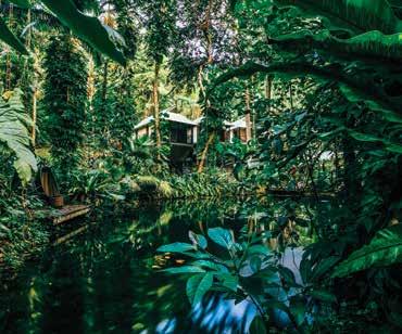 Atherton Tableland, Cape Tribulation & Daintree DAINTREE ACCOMMODATION Daintree Eco Lodge & Spa From price based on Stay 4, Pay 3 in a Lagoon Bayan, valid 1 Sep 8 Dec 17, 12 31 Mar 18.