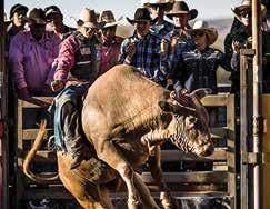 Rodeo events include: Bull Riding The rider holds on with one hand and must stay on the bucking bull for eight seconds.