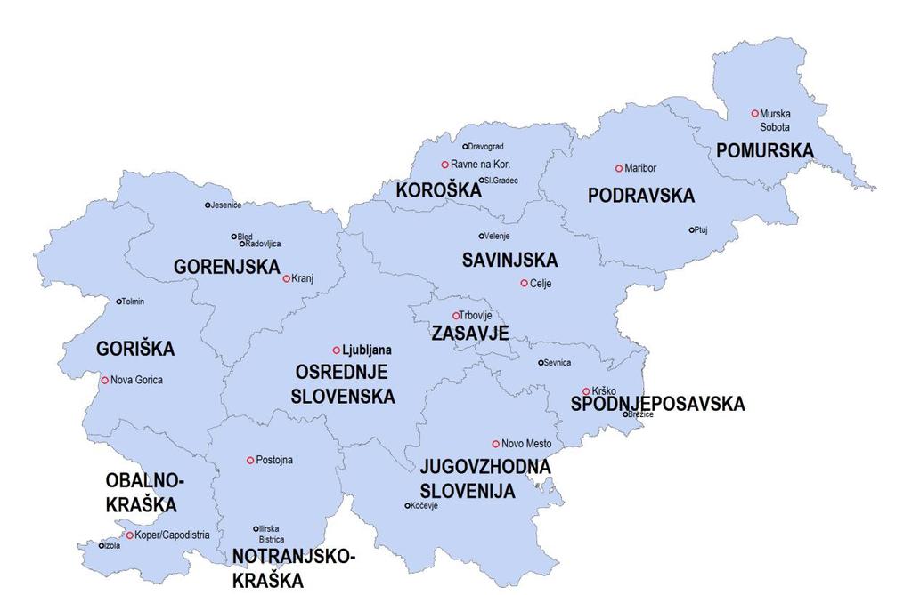 Graf 11: Statistične regije v Sloveniji Podrobneje si bomo ogledali osrednjeslovensko in podravsko regijo.