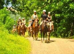 You will ride up the trail and observe stunning jungle vegetation which your guide will point out and explain.