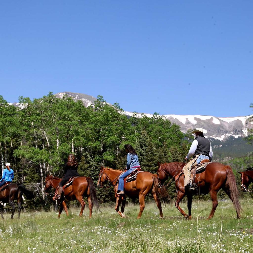 Riding is available year-round from different locations on the Ranch and is included with your room rate.