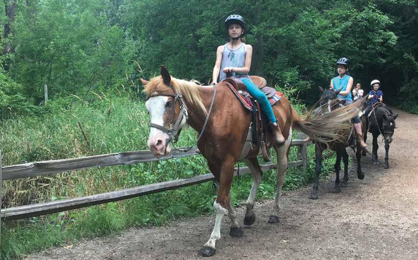 HORSE CAMPS Come experience the joys of horseback riding at Horse Camp!