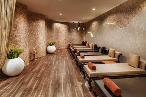SPA & Wellness Cosmetic salon, cleopatra milk bath, jacuzzi, diverse massage from