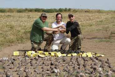 largest dove roost in La Pampa.