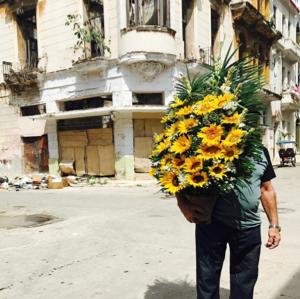 Day 5 Farewell from Havana