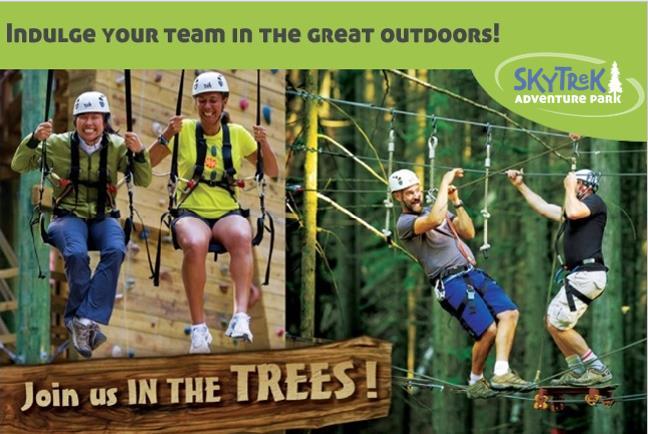 why bring your colleagues and employees to skytrek adventure park?