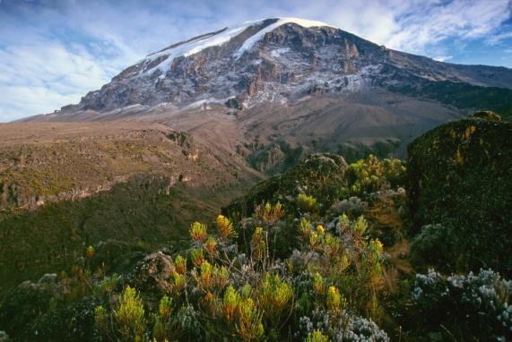 Later this afternoon there will be a climb brief and gear check. 04 Sep : Machame gate to Machame camp (B,L,D) Vehicles take climbers from Marangu to Machame Gate.