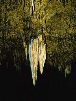 Creepy Cave Crawlers photos.com Stalagmites rise from the ground. Stalactites resemble icicles and hang from a cave s ceiling. Scientists discover 27 new creatures in California's caves.