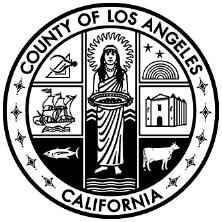 MARK PESTRELLA, Director COUNTY OF LOS ANGELES AVIATION COMMISSION To Enrich Lives Through Effective and Caring Service 900 SOUTH FREMONT AVENUE ALHAMBRA, CALIFORNIA 91803-1331 Telephone: (626)