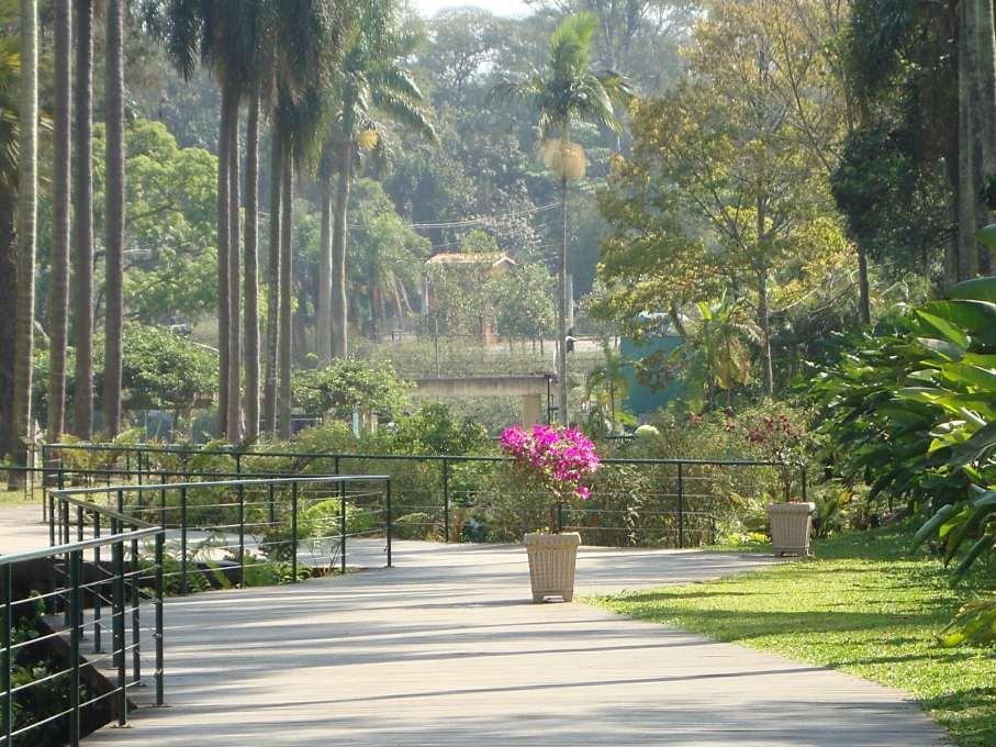 Then we visited Jardin Botânico in São