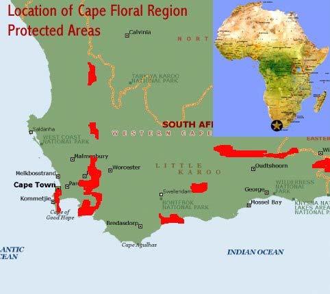 Maps and Satellite Images of the Cape Floral Region Protected Areas Location of the eight original components of the Cape Floral Region Protected Areas