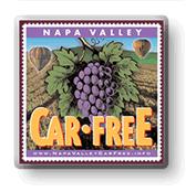 Appendix A: Stakeholder Interview Questions NAPA COUNTY TRANSPORTATION PLANNING AGENCY NORTHERN NAPA VALLEY TRANSIT STUDY SURVEY OF KEY INFORMANTS ASK FOR RESPONDENT BY NAME. Mr./Ms.