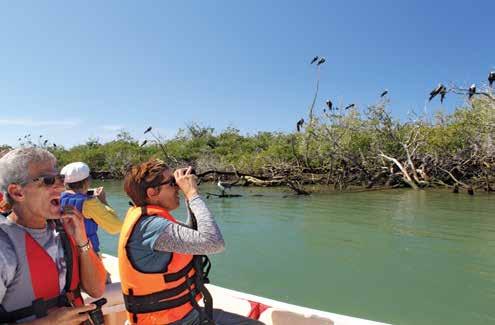 A birder s paradise this rich archipelago serves as an important bird refuge and migration corridor.