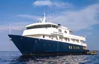 Safari Explorer 36 Guests / 14-15 Crew / 18 Cabins / Length 145 Our flagship, the impressive Safari Explorer, is perfectly designed for our experiential adventure cruises.