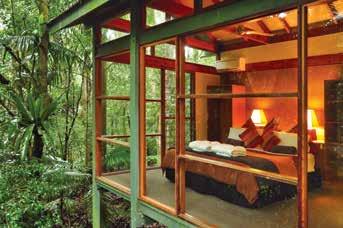VALUE $1,600 Buy online to win a two-night stay for two at Crystal Creek Rainforest Retreat in