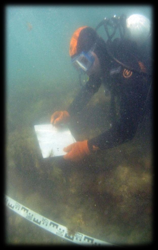 During the underwater archaeological investigations of submerged ancient settlement we used the technique,