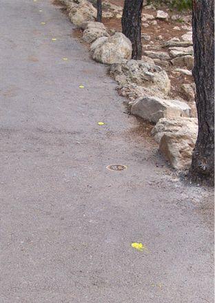 1-meter markers: Examples of painted