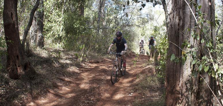 If arriving into Nairobi this morning, we ll arrange for a short cycle ride this afternoon to help you get familiar with the bikes and terrain.